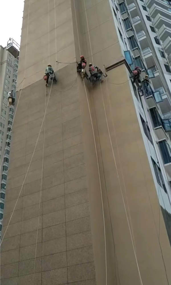 �V�|�≦�A�Ƙ�����������Q